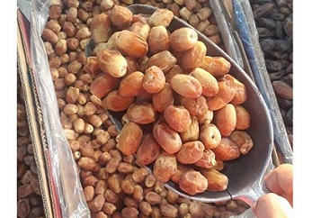 تصویر 1 از قیمت خرما زاهدی تازه با کیفیت ارزان + خرید عمده