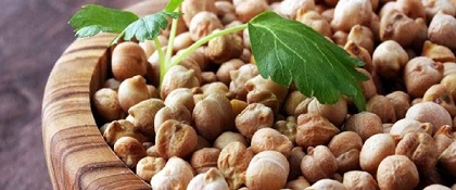 تصویر 5 از خرید نخود درشت کرمانشاهی + قیمت فروش استثنایی