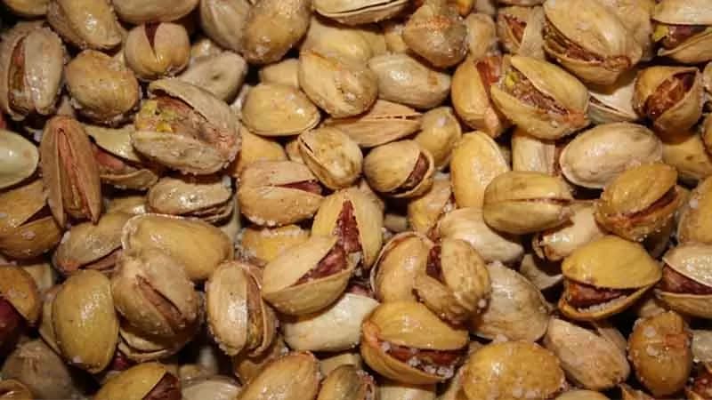 تصویر 1 از خرید و قیمت پسته شور براق + فروش عمده
