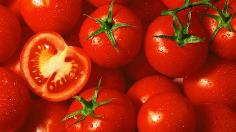 تصویر 4 از خرید و فروش گوجه فرنگی قرمز  با شرایط فوق العاده