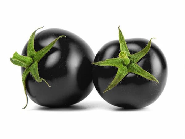 قیمت و خرید گوجه سیاه گیلاسی + فروش ارزان