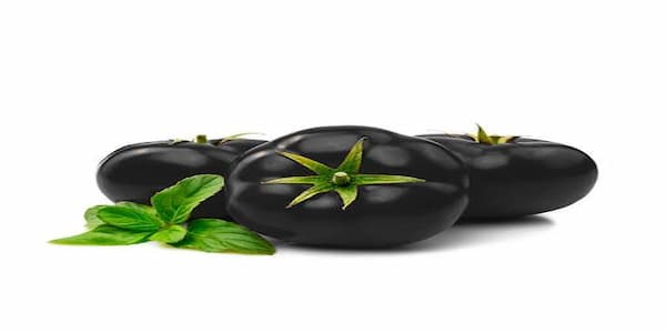تصویر 3 از خرید و قیمت گوجه فرنگی سیاه رنگ + فروش عمده