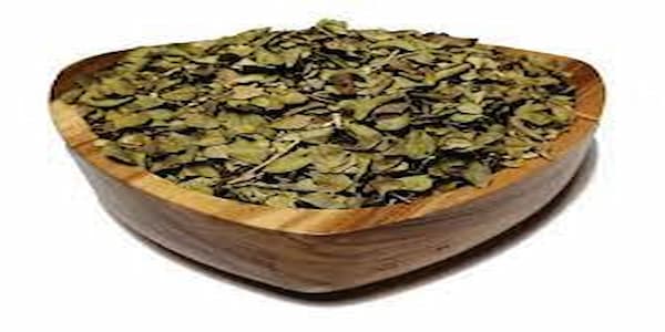 تصویر 4 از قیمت خرید آویشن شیرازی خشک  + فروش ویژه