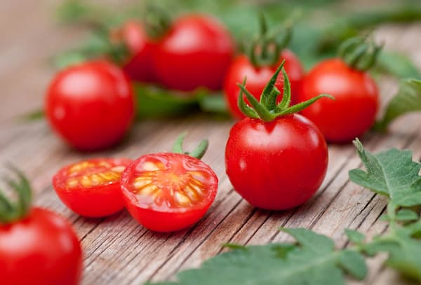 تصویر 5 از خرید و قیمت گوجه گیلاسی قرمز + فروش عمده