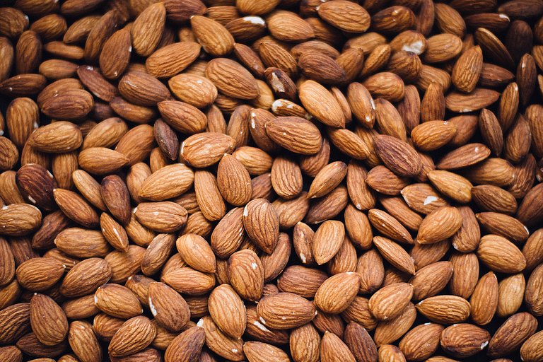 تصویر 5 از فروش مغز بادام سنگی + قیمت خرید به صرفه