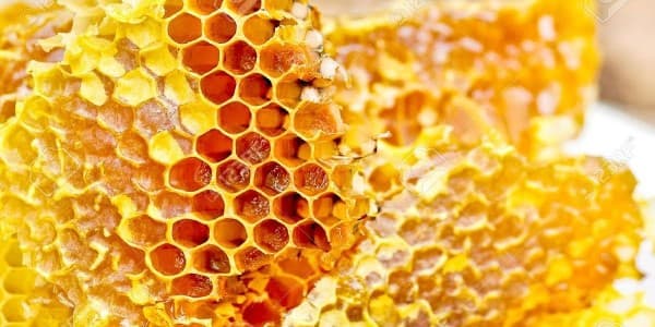 تصویر 5 از خرید موم عسل درمانی + قیمت فروش استثنایی