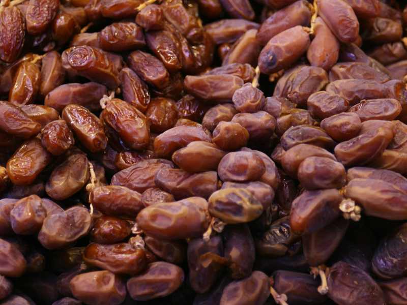 تصویر 5 از خرید خرمای مضافتی صادراتی + قیمت فروش استثنایی