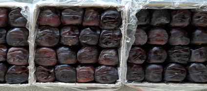 تصویر 4 از قیمت خرید خرما مضافتی جیرفت + فروش ویژه