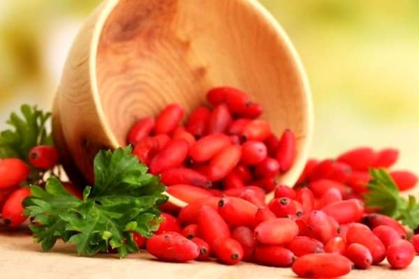 راهنمای خرید زرشک پفکی درجه یک + قیمت عالی