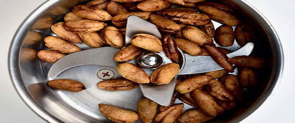 تصویر 1 از خرید هسته خرما عمده + قیمت فروش استثنایی