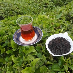 خرید و قیمت چای لاهیجان + فروش‌ عمده