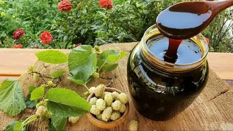 تصویر 3 از قیمت شیره انگور سیاه بدون خاک + خرید باور نکردنی