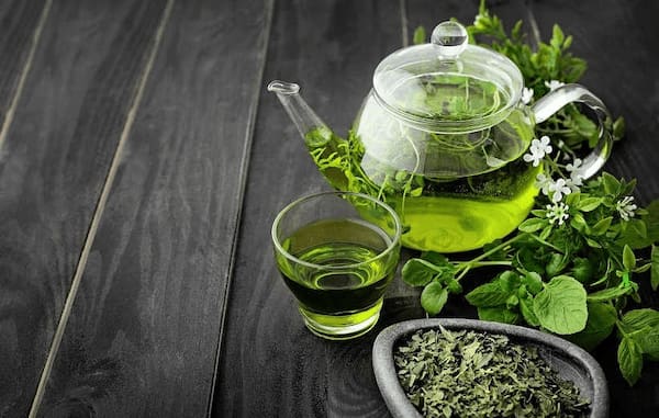 تصویر 2 از قیمت چای سبز بهاره + خرید باور نکردنی