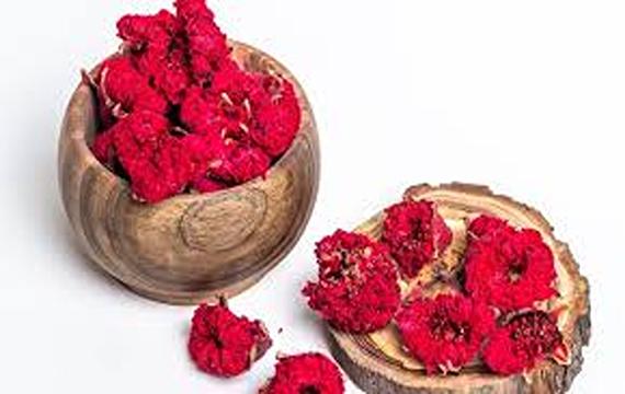 تصویر 3 از خرید و قیمت گیاه گلنار ایرانی + فروش  عمده