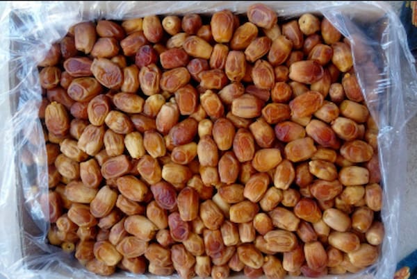 تصویر 4 از خرما زاهدی زرد با بافت یکدست