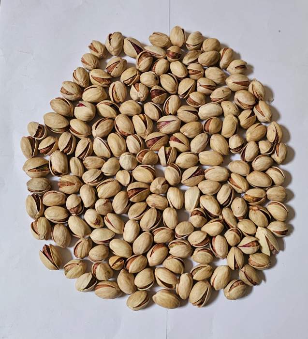 تصویر 3 از خرید و قیمت پسته فندقی درجه یک + فروش عمده