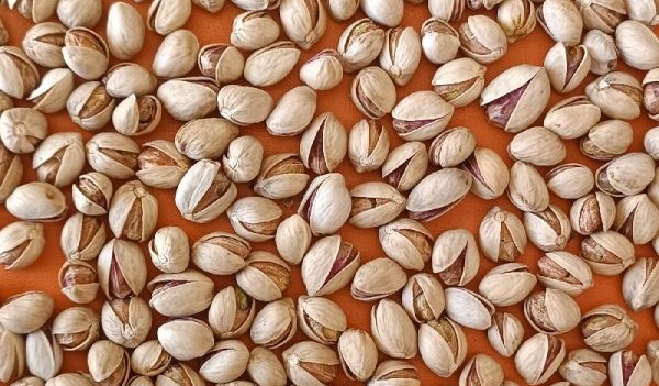 تصویر 3 از خرید و قیمت پسته ممتاز رفسنجان + فروش عمده