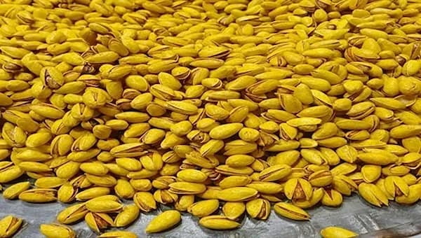 تصویر 3 از پسته اکبری شور دستچین شده مناسب مصرف سالم و طبیعی