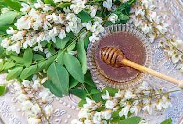 تصویر 3 از قیمت خرید عسل چهل گیاه ارگانیک  عمده به صرفه و ارزان