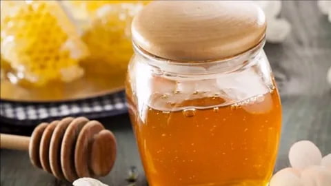 تصویر 5 از خرید و قیمت عسل آویشن کوهی + فروش صادراتی