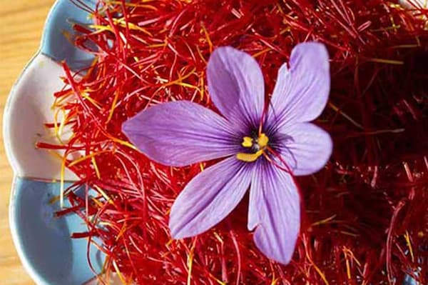 تصویر 5 از بهترین زعفران سوپر نگین + قیمت خرید عالی