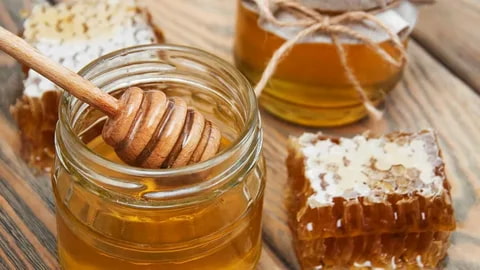 تصویر 2 از خرید عسل گون آویشن + قیمت فروش استثنایی
