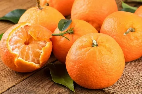 تصویر 3 از خرید و فروش نارنگی محلی جنوب با شرایط فوق العاده