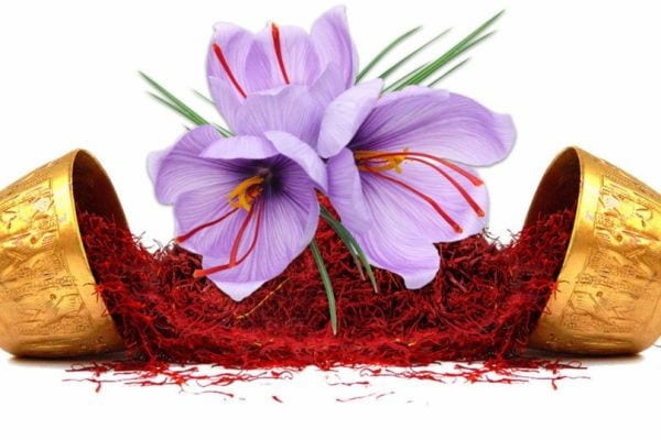 تصویر 3 از قیمت و خرید زعفران دختر پیچ قائنات + فروش ارزان