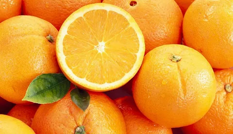 تصویر 4 از قیمت خرید پرتقال تامسون ناول با فروش عمده