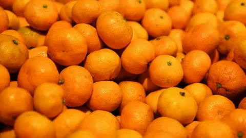 تصویر 2 از قیمت خرید نارنگی یافا شمال عمده به صرفه و ارزان
