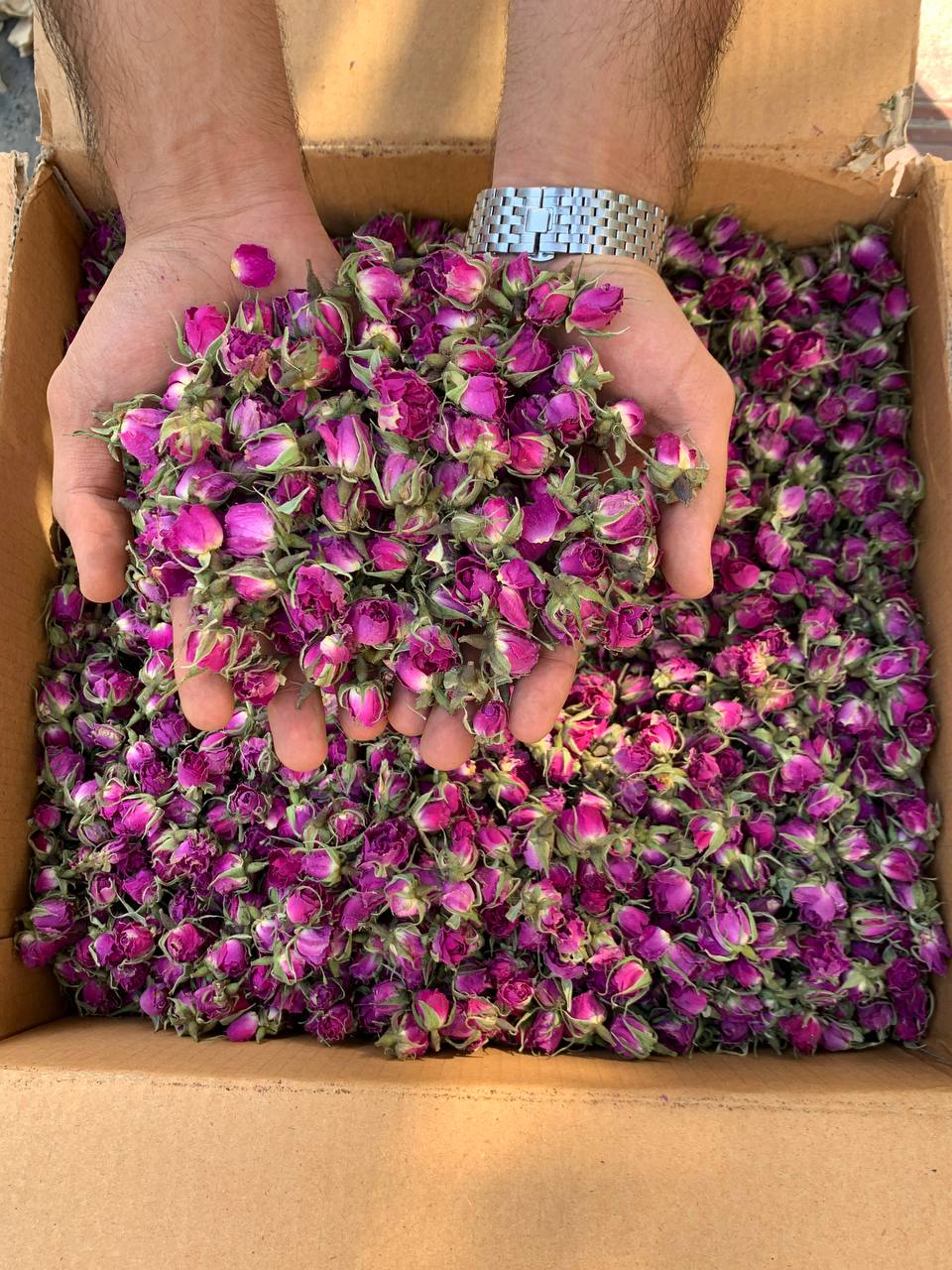 تصویر 3 از فروش غنچه گل محمدی + قیمت خرید به صرفه