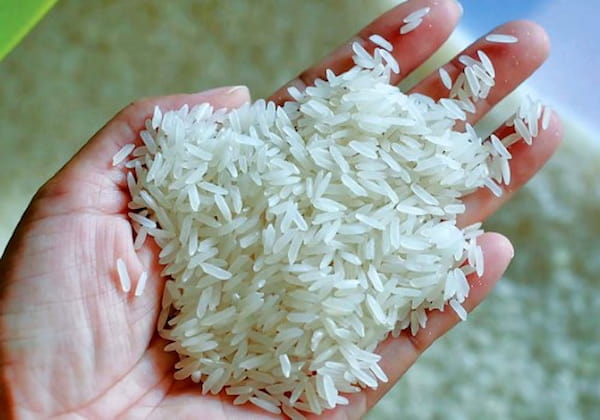 تصویر 2 از معرفی طارم محلی فریدونکنار + بهترین قیمت خرید