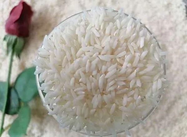 تصویر 3 از راهنمای خرید طارم هاشمی کشت دوم + قیمت عالی