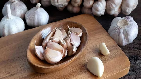 تصویر 2 از خرید و قیمت سیر سبز تازه + فروش صادراتی