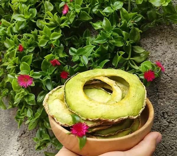 تصویر 1 از خرید و قیمت میوه خشک طالبی + فروش صادراتی