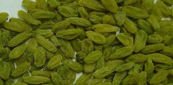 تصویر 1 از خرید و قیمت کشمش سبز پیکامی + فروش عمده