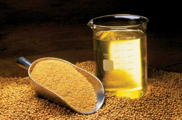 تصویر 5 از قیمت روغن خوراک دام تصفیه شده با کیفیت ارزان + خرید عمده
