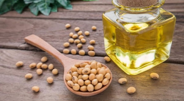 قیمت روغن خوراک دام تصفیه شده با کیفیت ارزان + خرید عمده