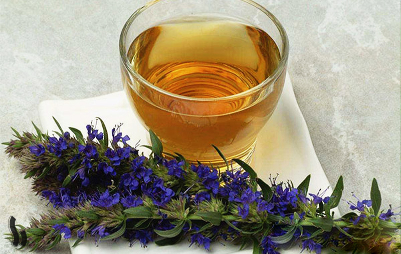 تصویر 1 از قیمت گل زوفا خشک + خرید باور نکردنی