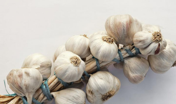 تصویر 4 از خرید سیر صادراتی درجه یک + قیمت فروش استثنایی