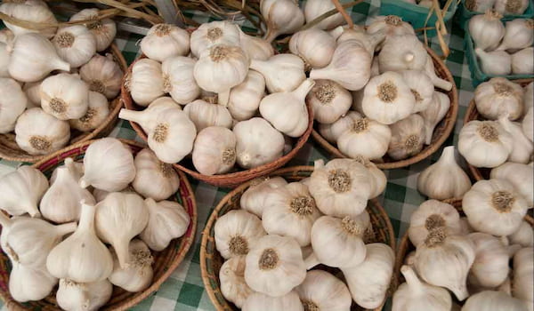 تصویر 3 از خرید سیر صادراتی درجه یک + قیمت فروش استثنایی