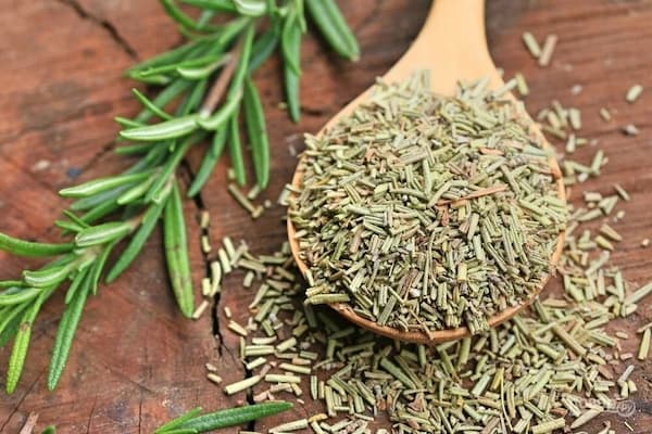 تصویر 3 از خرید گیاه رزماری خشک شده + قیمت فروش استثنایی