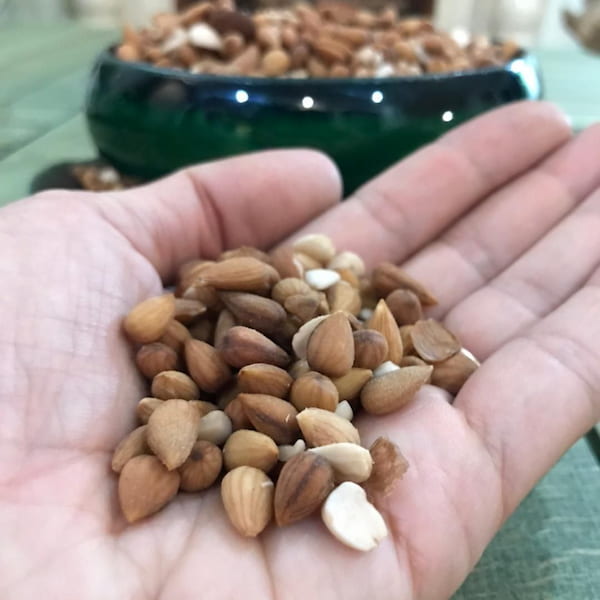 تصویر 4 از قیمت روز مغز بادام کوهی