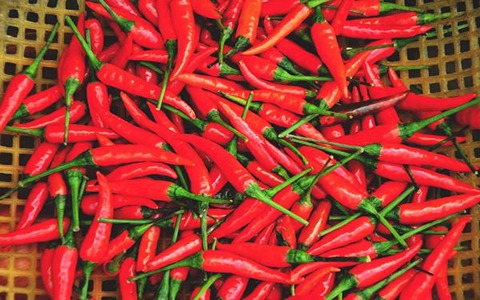 تصویر 2 از فروش فلفل شمشیری گلخانه ای + قیمت خرید به صرفه