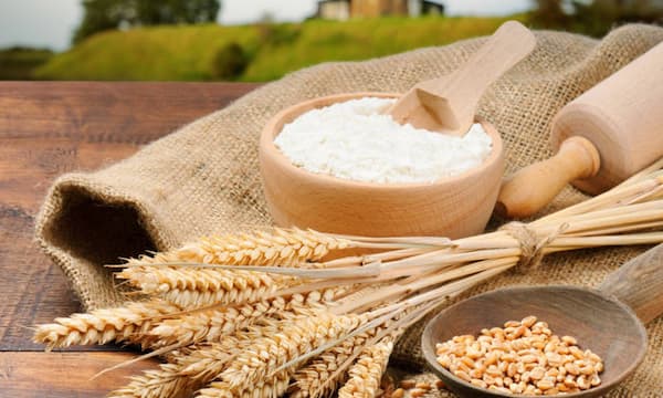 قیمت عمده و استثنایی گلوتن گندم
