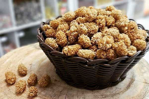 فروش توت خشک