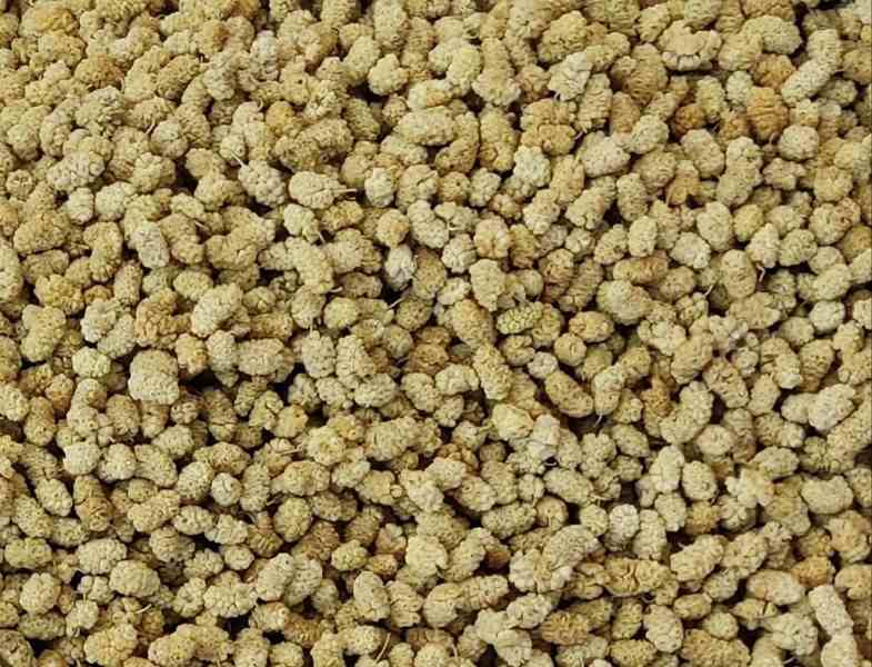 تصویر 2 از قیمت خرید توت خشک اعلا با فروش عمده