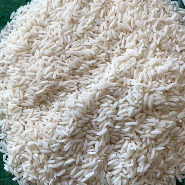 تصویر 1 از قیمت خرید برنج هاشمی فریدونکنار + فروش ویژه