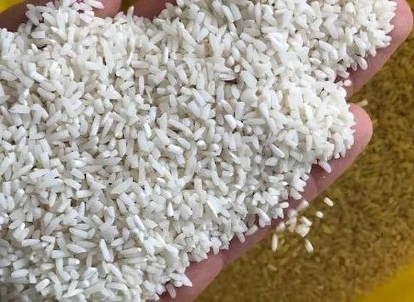 تصویر 2 از قیمت خرید برنج نیم دانه هاشمی عمده به صرفه و ارزان