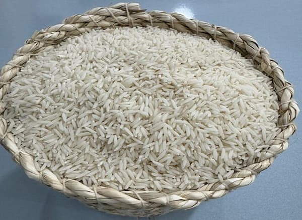 تصویر 3 از راهنمای خرید برنج فجر سوزنی + قیمت عالی
